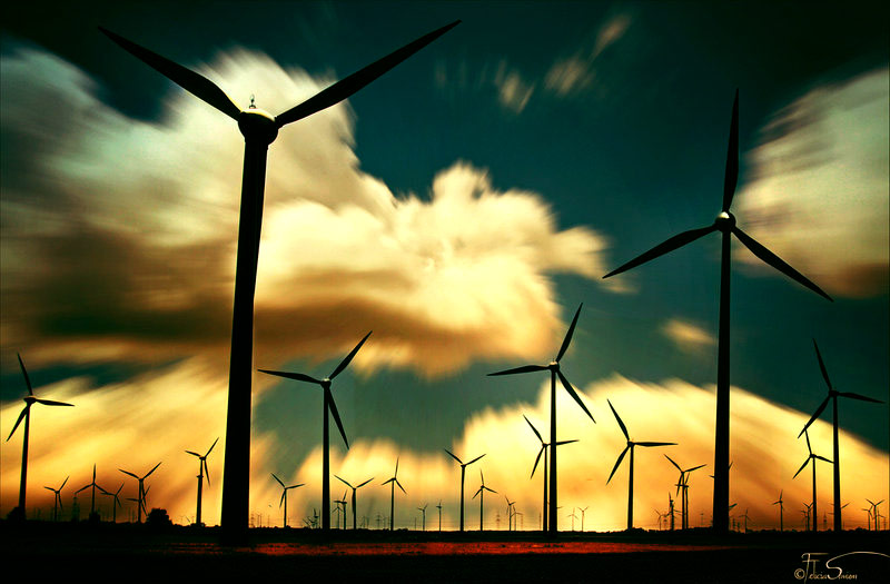 高级会员版的短信自动轰炸