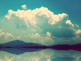 破解版永久使用的云呼死你网页版